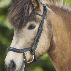 Waldhausen Anatomic Island Trensenzaum -Weatherbeeta Shop 343984 BL 3