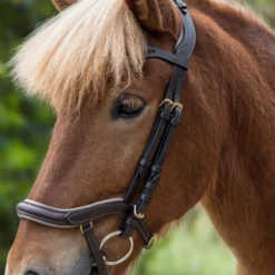 Waldhausen Anatomic Island Trensenzaum -Weatherbeeta Shop 343984 BR 2