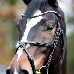 Kavalkade Lucia Mexikanische Trense