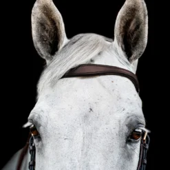 Horseware Rambo Micklem 2 Multi Trense -Weatherbeeta Shop 345014 DBR 02