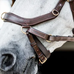 Horseware Rambo Micklem 2 Multi Trense -Weatherbeeta Shop 345014 DBR 05