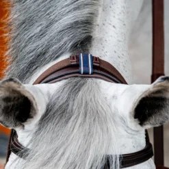 Horseware Rambo Micklem 2 Multi Trense -Weatherbeeta Shop 345014 DBR 06