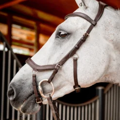 Horseware Rambo Micklem 2 Diamante Competition Trense Mit Zügeln -Weatherbeeta Shop 345015 DBR 02