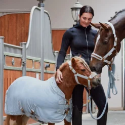 Eskadron Platinum 2023 Velvet Crystal Shetland Abschwitzdecke -Weatherbeeta Shop 345484 PLB 02