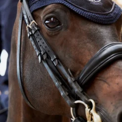 Eskadron Platinum Pure FS23 Glitter Mesh Fliegenhaube -Weatherbeeta Shop 345512 DB 03