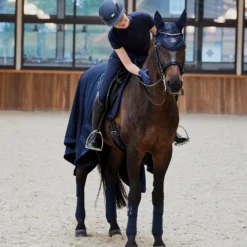 Eskadron Platinum Pure FS23 Glitter Mesh Fliegenhaube -Weatherbeeta Shop 345512 DB 04