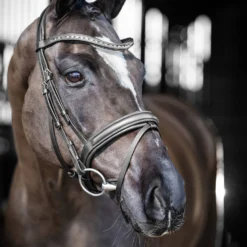 LeMieux Arika Dresssur Trense 17 LeMieux Arika Dresssur Trense -Weatherbeeta Shop 38E3P 099 04