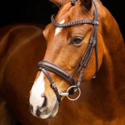 LeMieux Arika Dresssur Trense 13 LeMieux Arika Dresssur Trense -Weatherbeeta Shop 38E3P 780 04