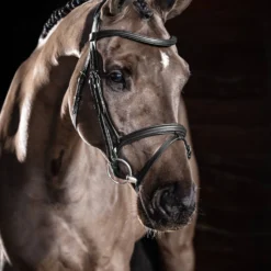 LeMieux Arika Englisch Kombinierte Trense 17 LeMieux Arika Englisch Kombinierte Trense -Weatherbeeta Shop 4D9F2 099 04