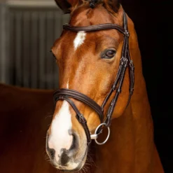 LeMieux Arika Englisch Kombinierte Trense 13 LeMieux Arika Englisch Kombinierte Trense -Weatherbeeta Shop 4D9F2 780 04