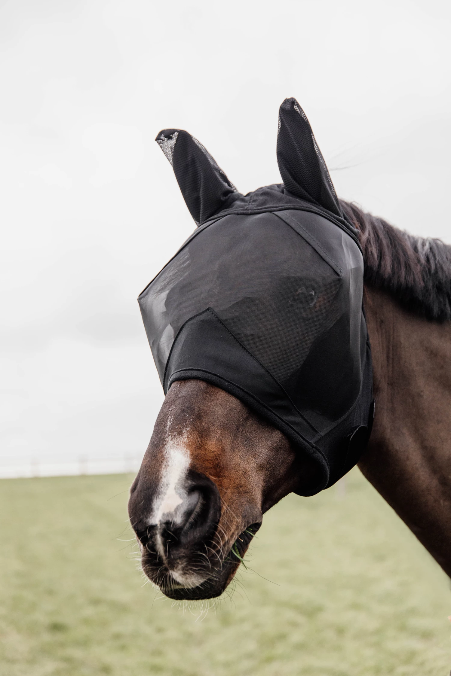Kentucky Horsewear Classic Fliegenmaske Mit Ohren 5 Kentucky Horsewear Classic Fliegenmaske Mit Ohren – Bild 3