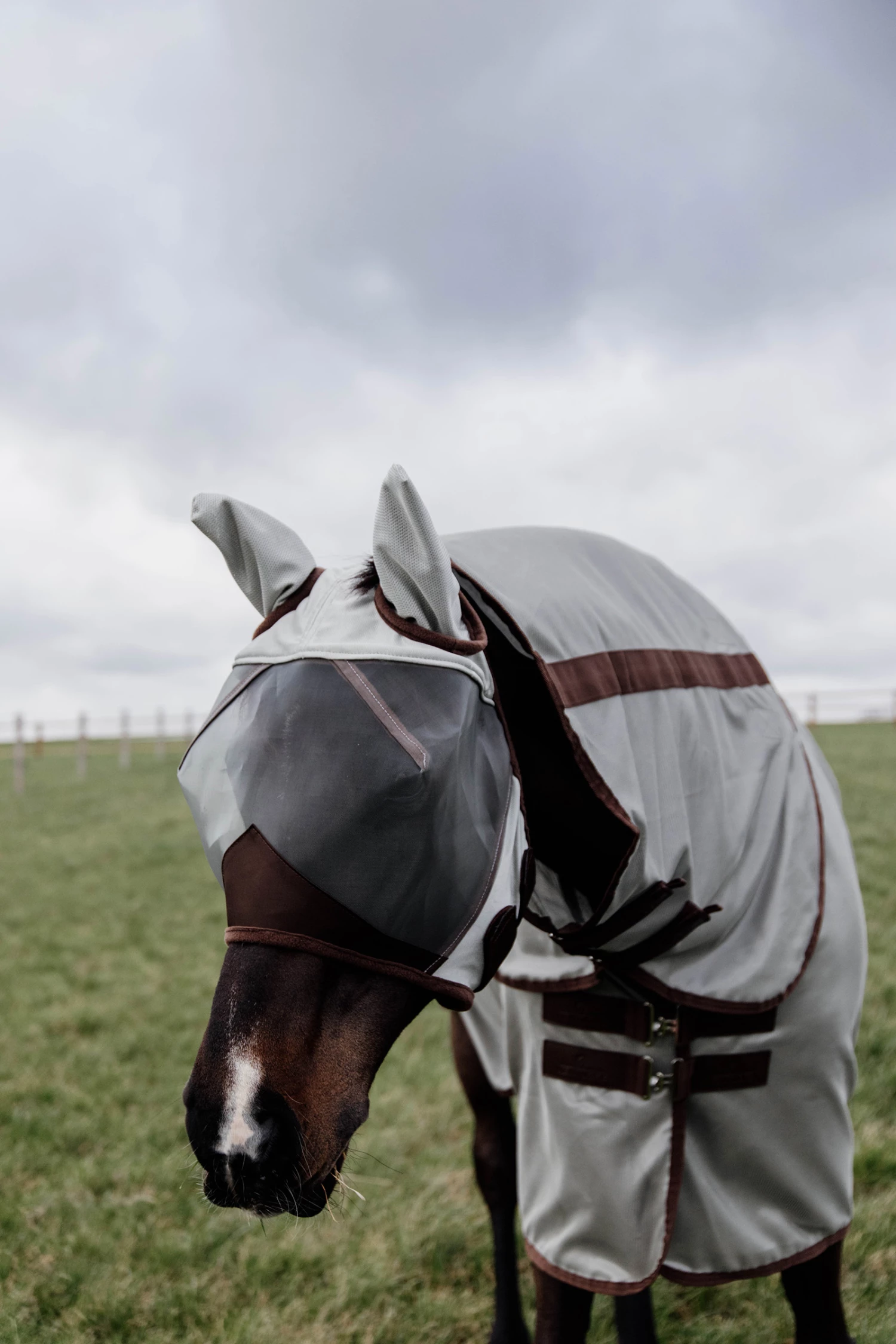 Kentucky Horsewear Classic Fliegenmaske Mit Ohren 14 Kentucky Horsewear Classic Fliegenmaske Mit Ohren – Bild 12