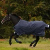 Horseware Amigo Bravo 12 Winterdecke, 250g -Weatherbeeta Shop 922496 DB B BL 1