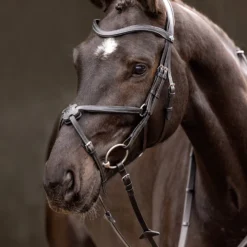 LeMieux Arika Mexikanische Trense 17 LeMieux Arika Mexikanische Trense -Weatherbeeta Shop 9TCGH 099 04