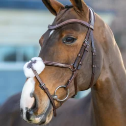 LeMieux Arika Mexikanische Trense 13 LeMieux Arika Mexikanische Trense -Weatherbeeta Shop 9TCGH 780 04