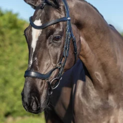 LeMieux Arika Hannoveranische Trense -Weatherbeeta Shop 9WM0F 099 04
