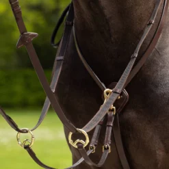 Weatherbeeta Shop -Weatherbeeta Shop NQ5CN 775 02