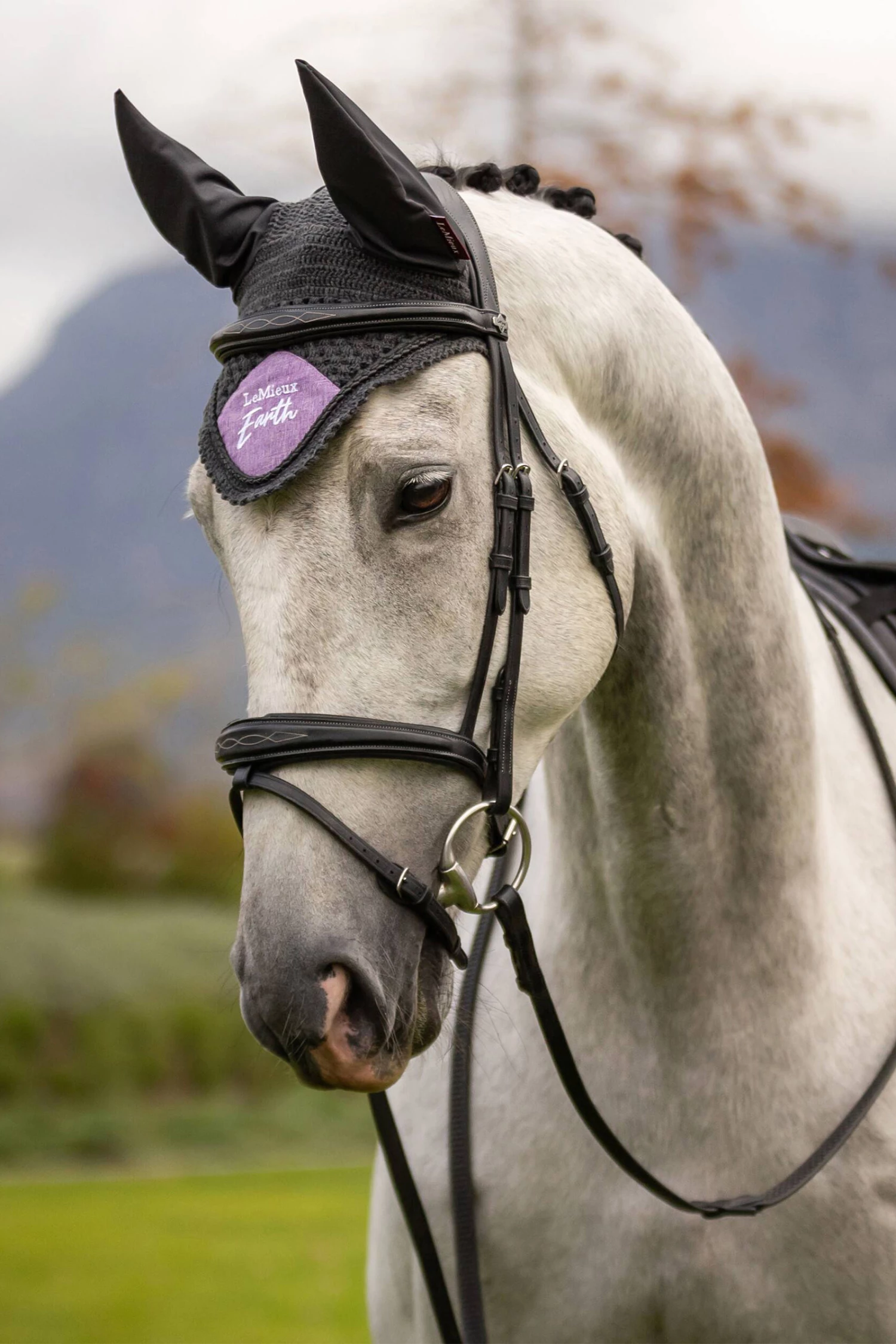 LeMieux Earth Fliegenhaube 4 LeMieux Earth Fliegenhaube – Bild 2