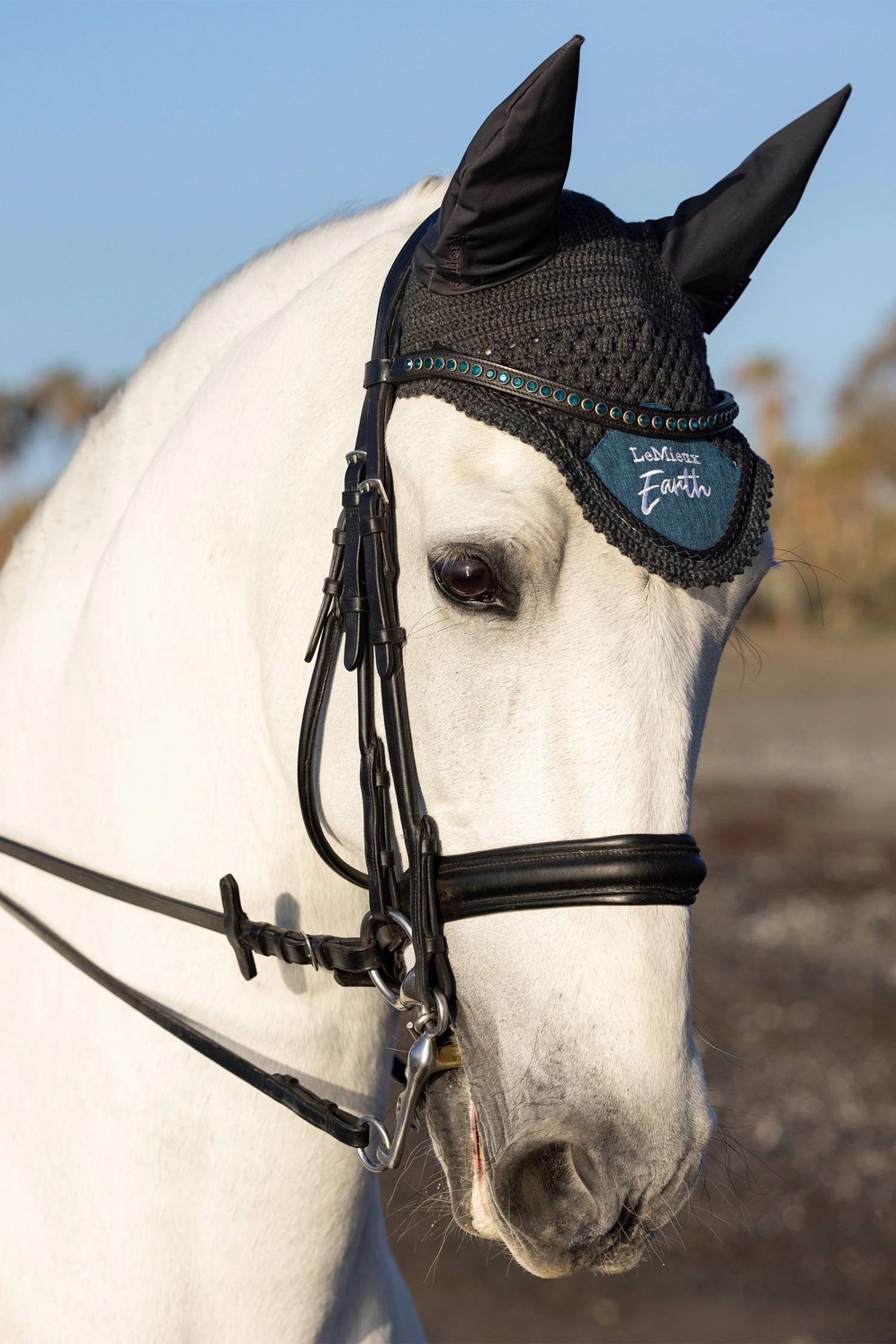 LeMieux Earth Fliegenhaube 6 LeMieux Earth Fliegenhaube – Bild 4