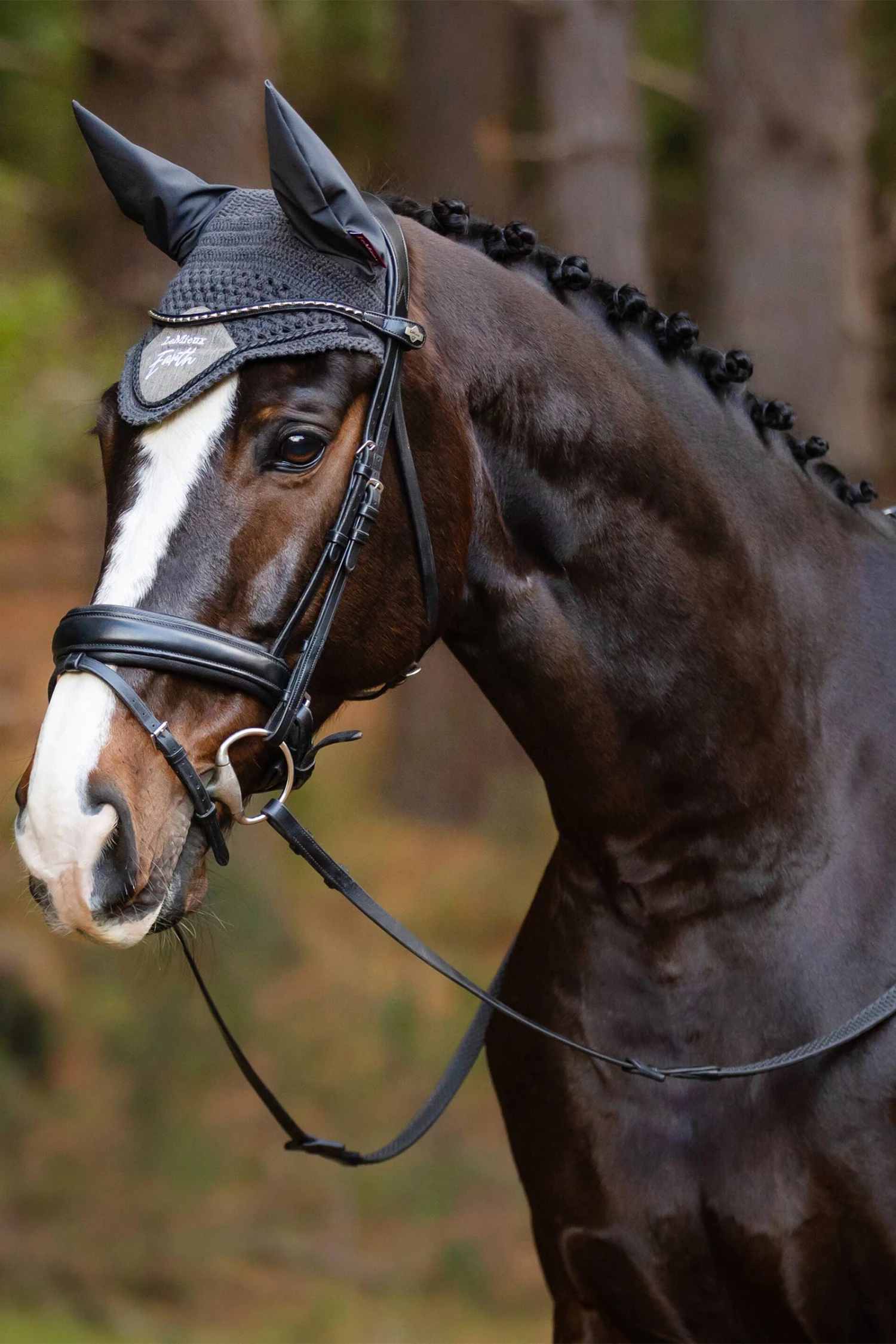 LeMieux Earth Fliegenhaube 8 LeMieux Earth Fliegenhaube – Bild 6