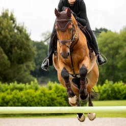 LeMieux Crystal Fliegenhaube -Weatherbeeta Shop Z1KR0 780 03