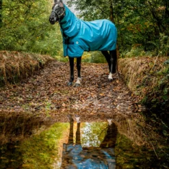 Horseware Amigo Hero 900 Revive Plus Weidedecke Inkl. Abnehmbarem Halsteil, 50g 13 Horseware Amigo Hero 900 Revive Plus Weidedecke Inkl. Abnehmbarem Halsteil, 50g -Weatherbeeta Shop ZYZAR 560 03