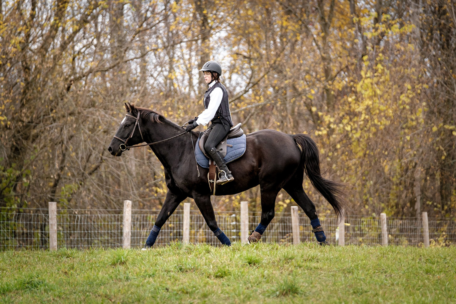 Weatherbeeta Shop -Weatherbeeta Shop 396236255 826652096135310 3451644607151076564 n