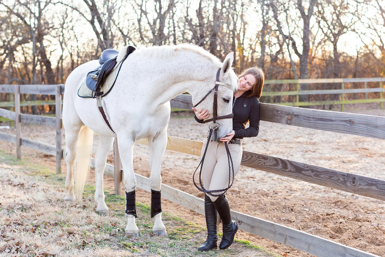 Weatherbeeta Shop -Weatherbeeta Shop 46987646